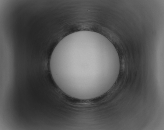 X0000101190514200806270850
