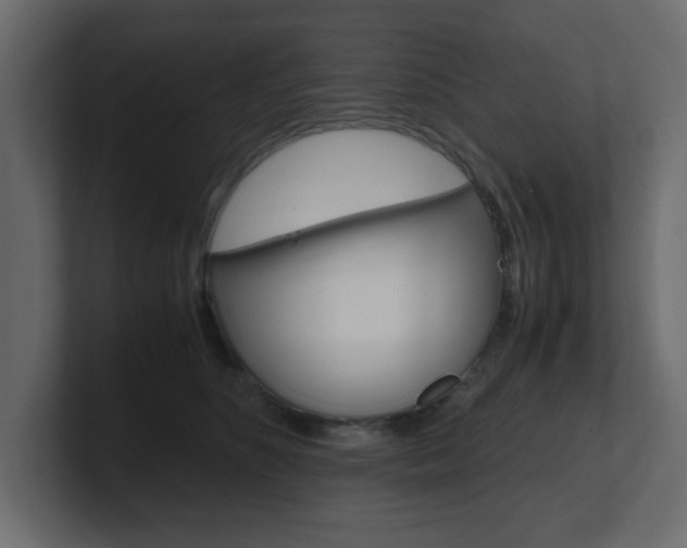 X0000101190516200806270850