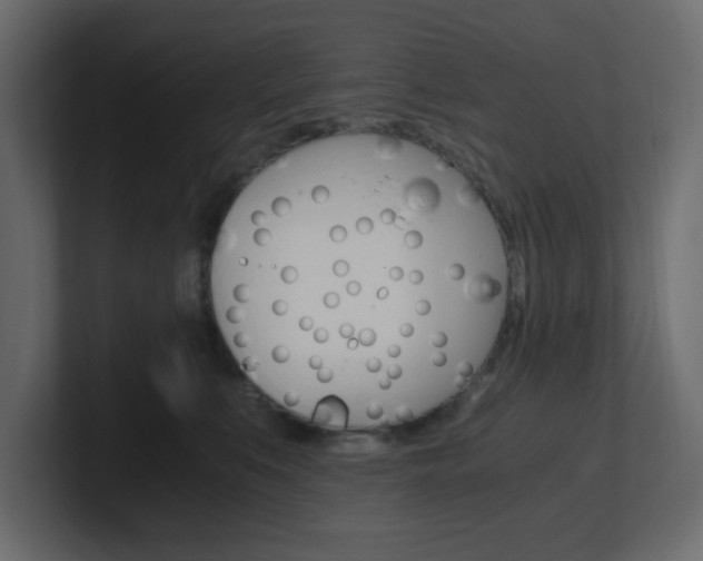 X0000101190519200806270850