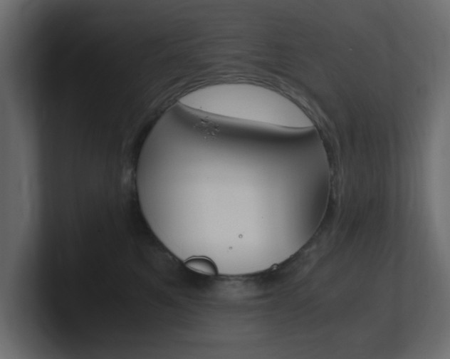 X0000101190521200806270850