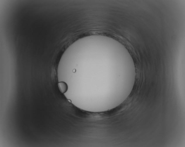 X0000101190523200806270850