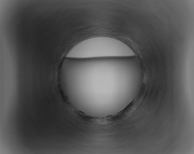 X0000101190524200806270850