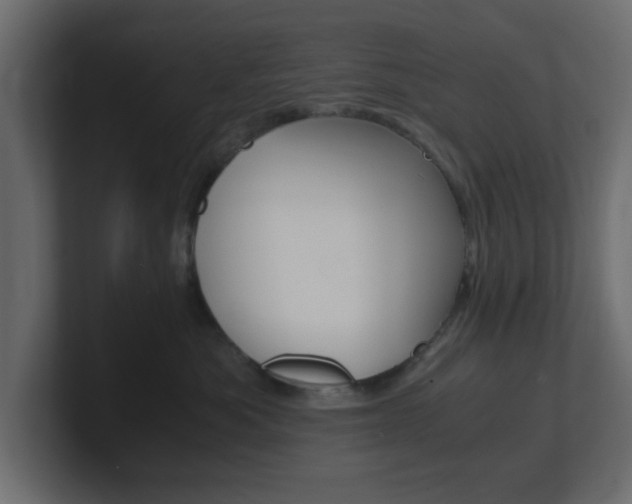 X0000101190525200806270850