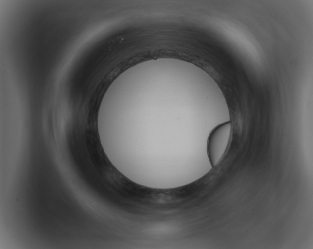 X0000101190526200806270850