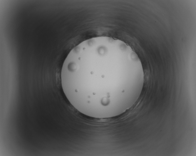 X0000101190527200806270850