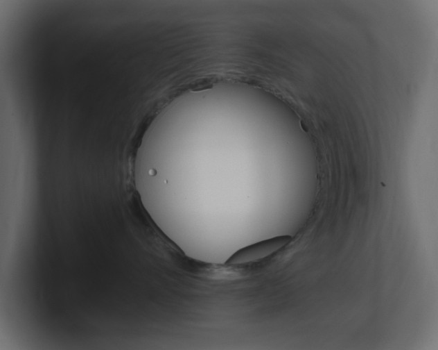 X0000101190528200806270849