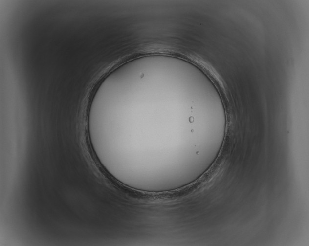 X0000101190529200806270849