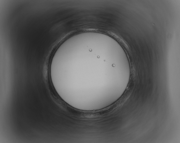 X0000101190533200806270849