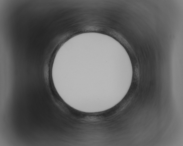 X0000101190534200806270849