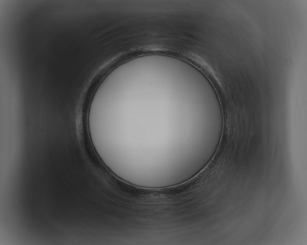 X0000101190535200806270849
