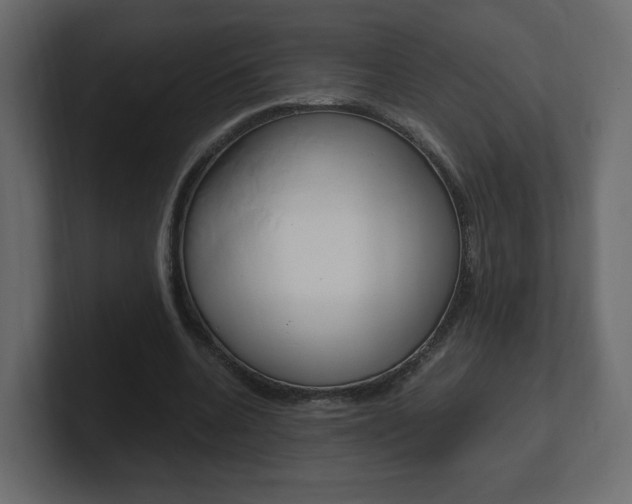 X0000101190536200806270849