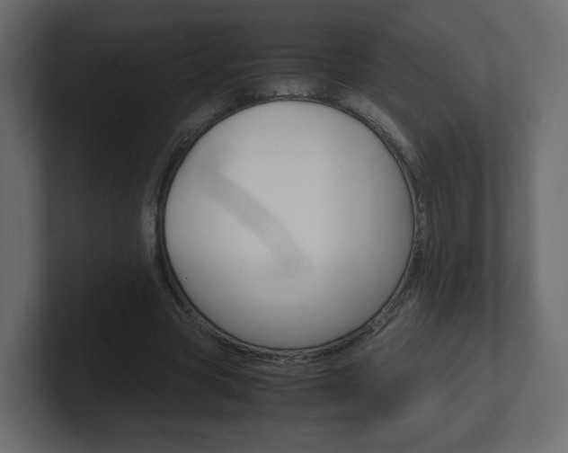X0000101190537200806270849