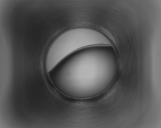 X0000101190538200806270849