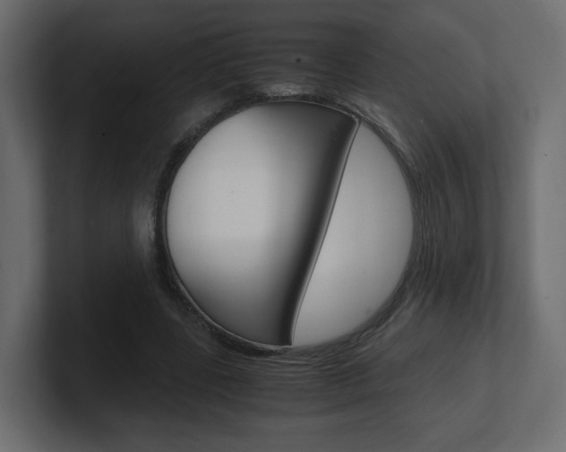 X0000101190539200806270849