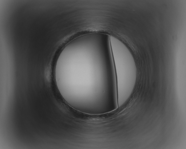 X0000101190540200806270849