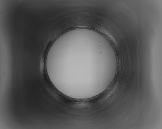 X0000101190541200806270849