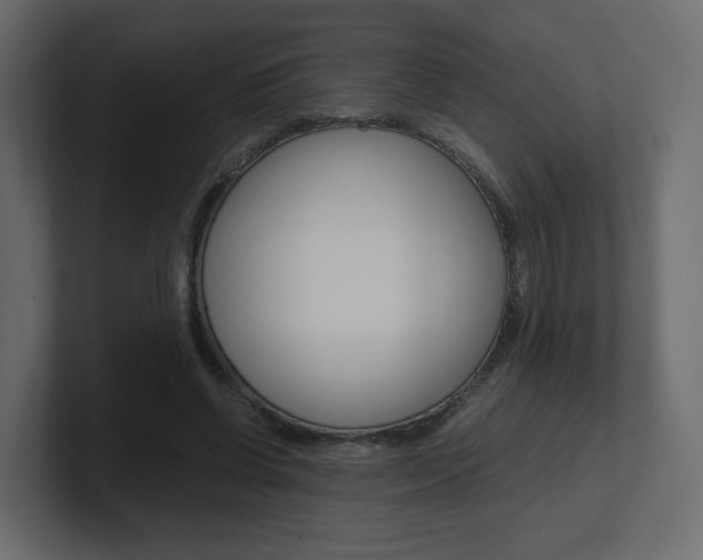 X0000101190542200806270849