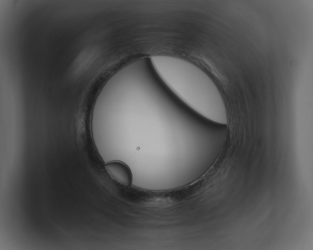 X0000101190543200806270849