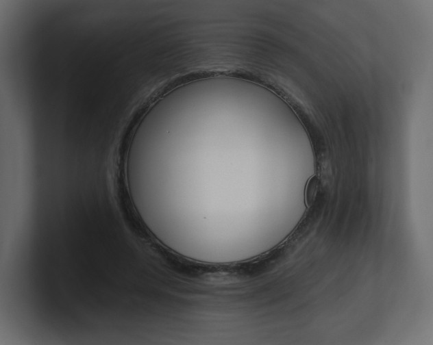 X0000101190544200806270849