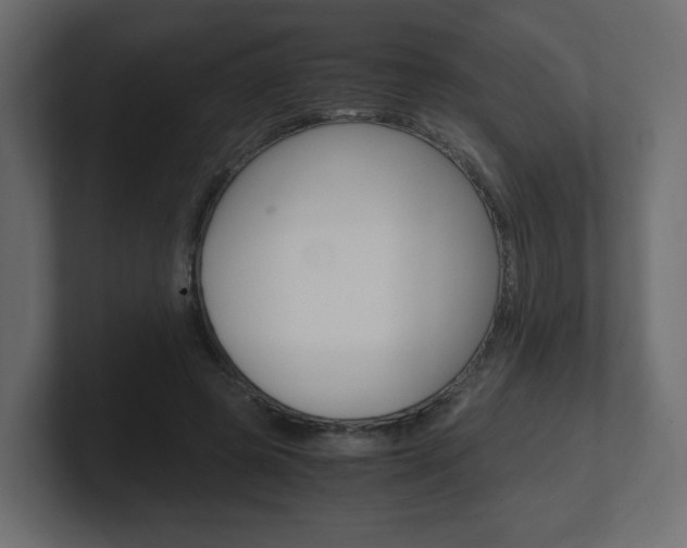 X0000101190545200806270849