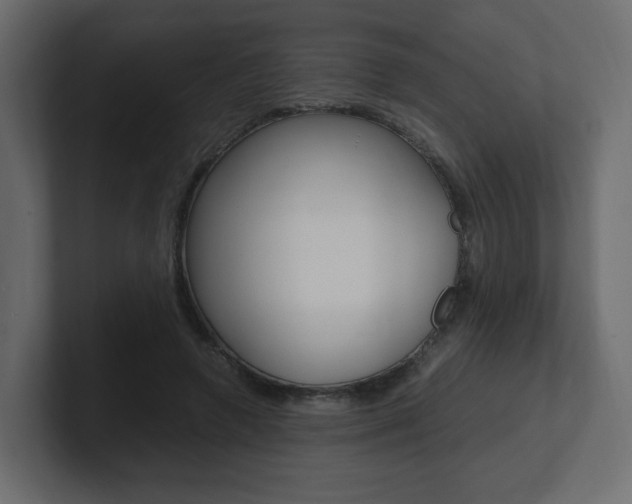 X0000101190546200806270849