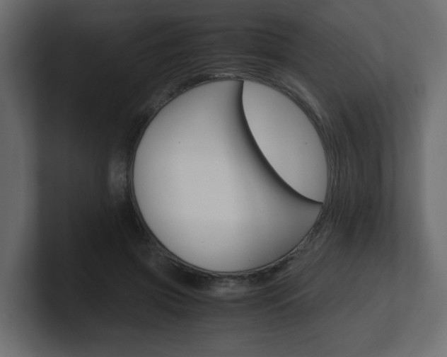 X0000101190549200806270849