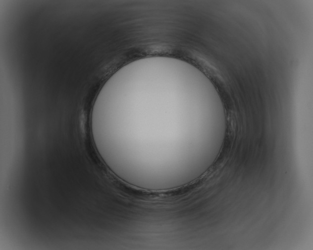 X0000101190550200806270849