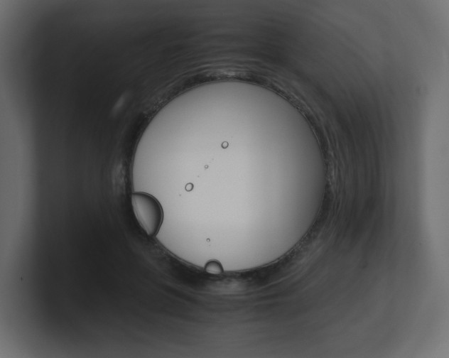 X0000101190551200806270849