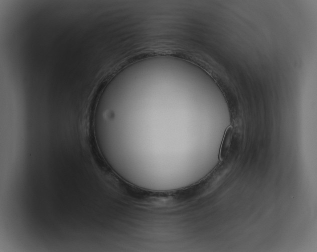 X0000101190552200806270849