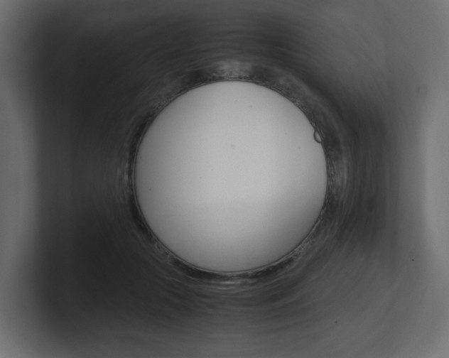 X0000101190553200806270849