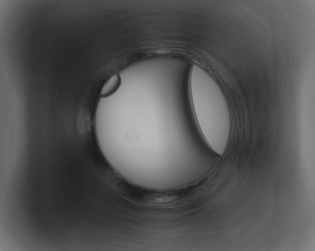 X0000101190555200806270849