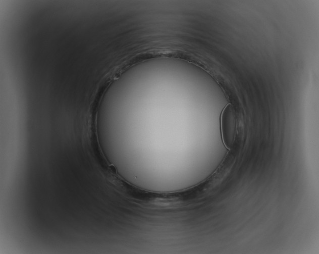X0000101190556200806270849