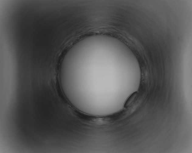 X0000101190558200806270849