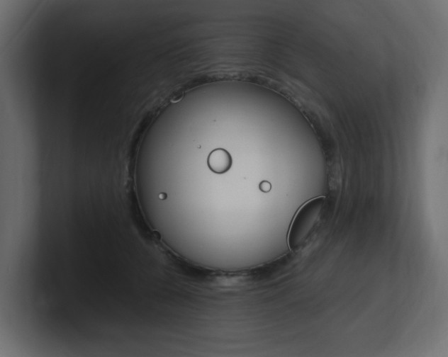X0000101190560200806270849