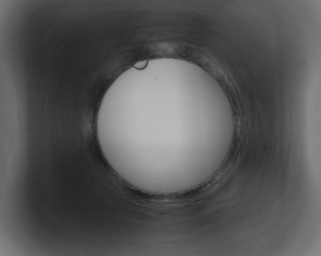 X0000101190561200806270849