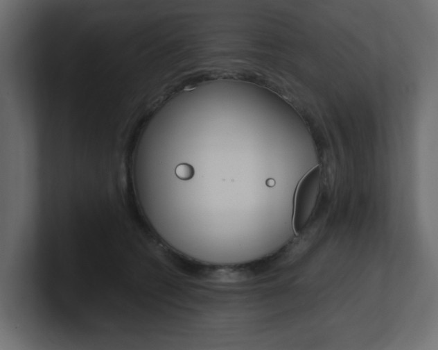 X0000101190562200806270849