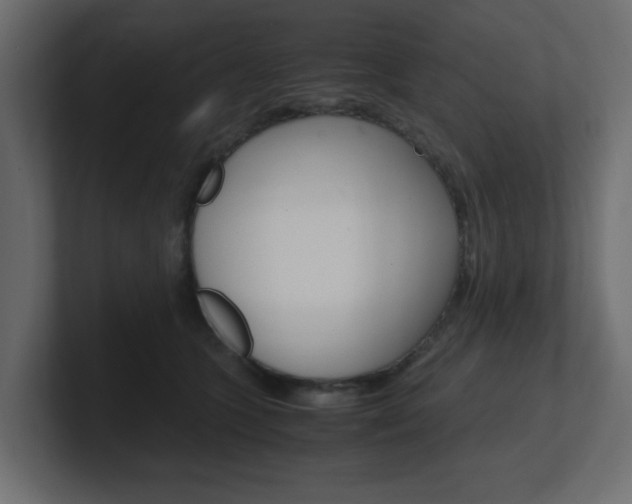 X0000101190563200806270849