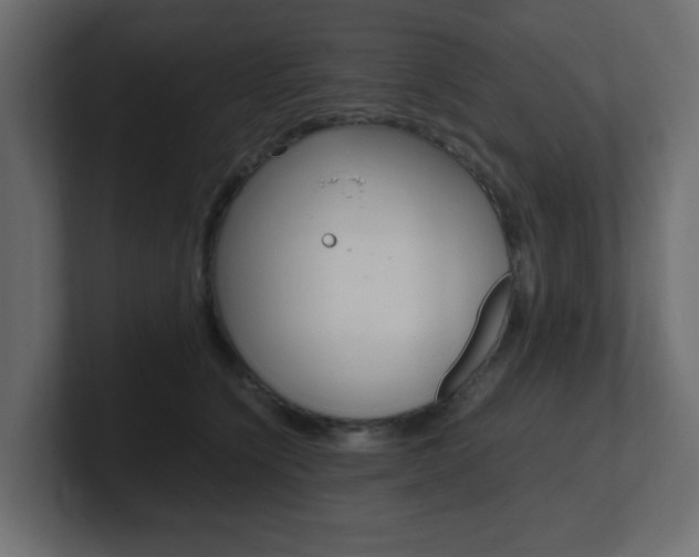 X0000101190564200806270849