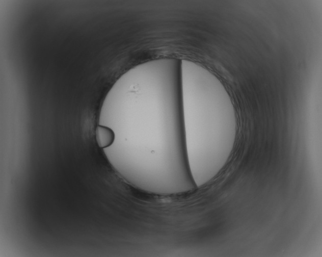 X0000101190565200806270849