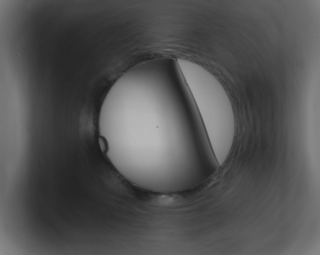 X0000101190566200806270849