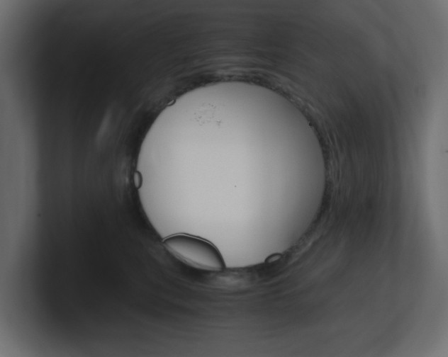 X0000101190567200806270849