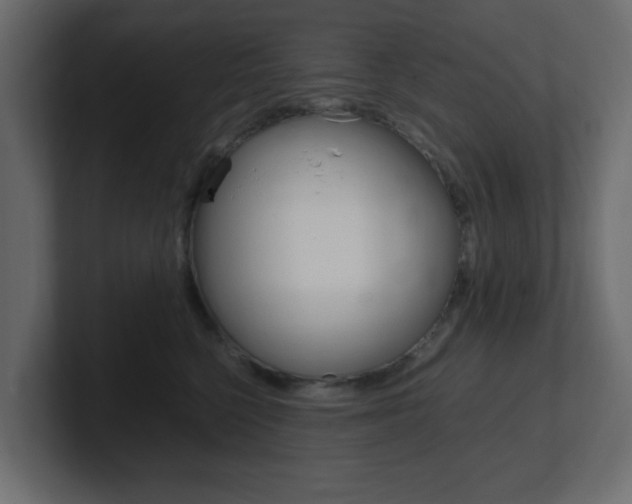 X0000101190568200806270849