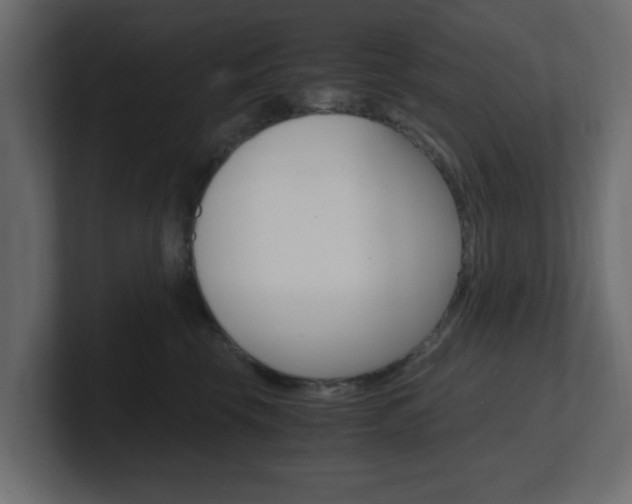 X0000101190569200806270849