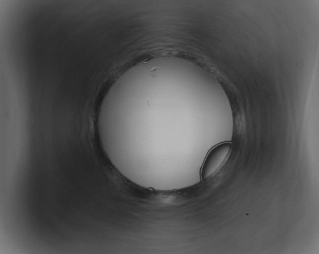 X0000101190570200806270849