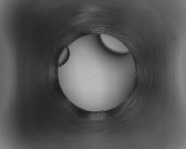 X0000101190571200806270849