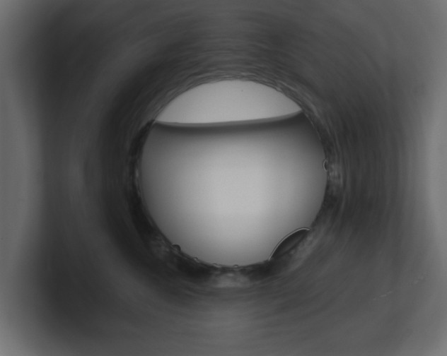 X0000101190572200806270849
