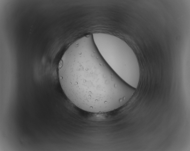 X0000101190573200806270849
