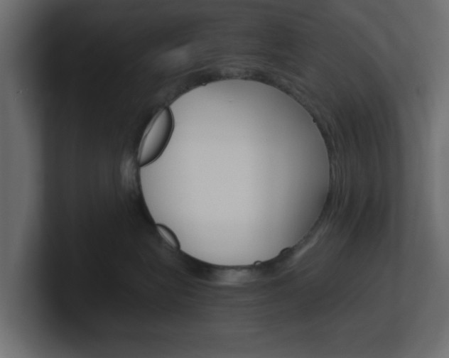 X0000101190575200806270849