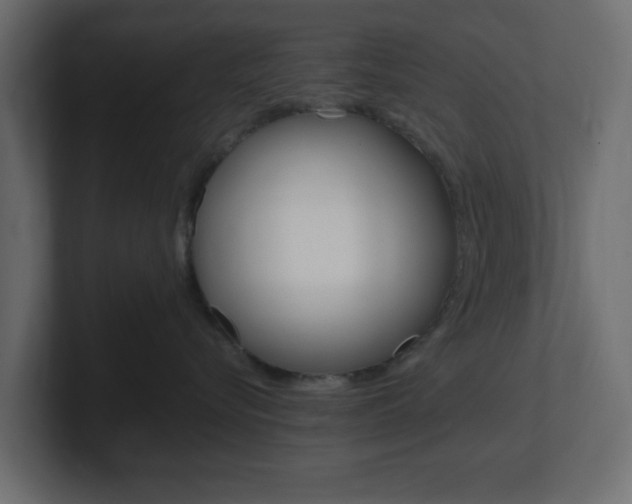 X0000101190576200806270849