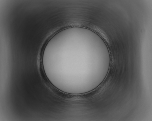 X0000101190578200806270849